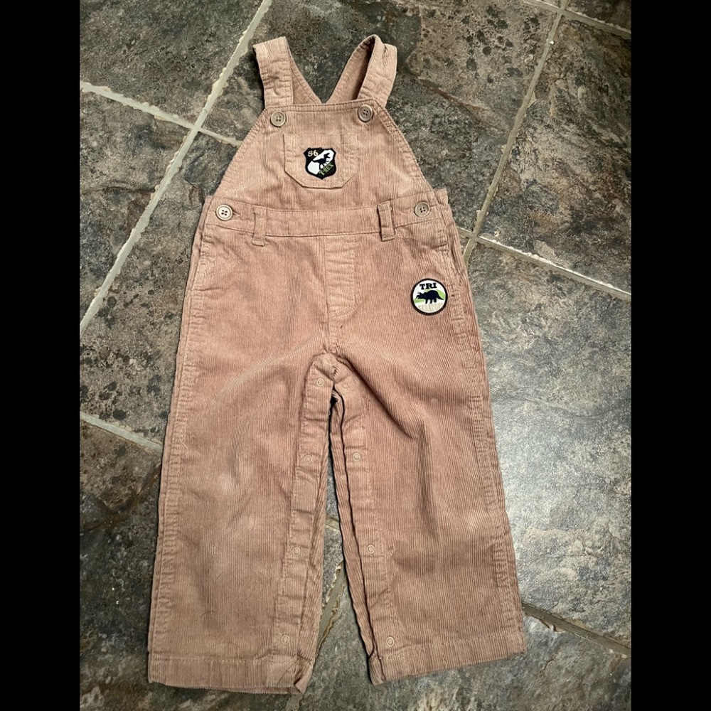 ๐ฆ Lot of 4 Item- Dino Overalls, 2 tshirts, new hat VGUC. Toddler 2T - Picture 2 of 15